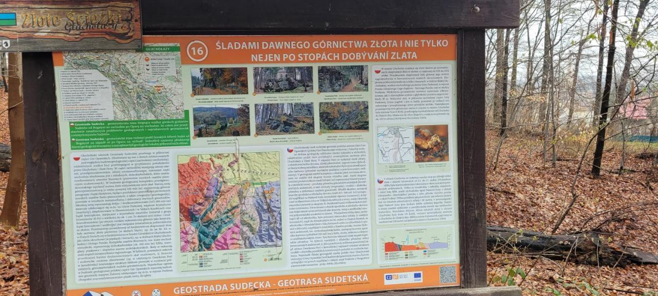 Apartamento Zapomniany Zdroj Glucholazy Exterior foto